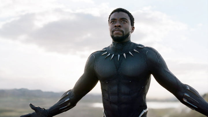 Black Panther on Disney+