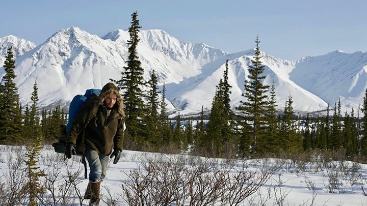 Into the Wild
